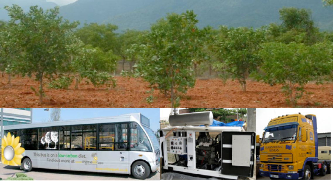 CleanStar Background Image